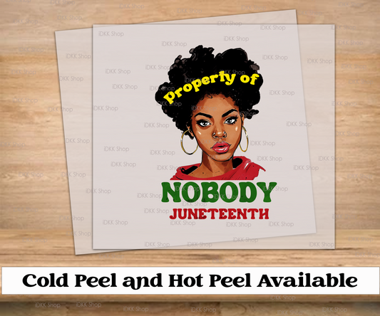 Juneteenth Property of Nobody  | DTF Transfer